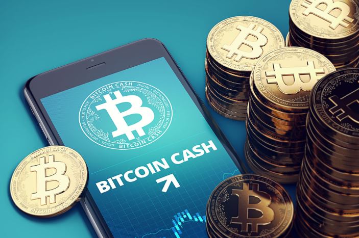 Сеть Bitcoin Cash отныне оборудована опцией хранения файлов