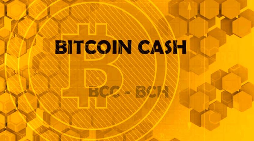 Bitcoin Cash агрессивно растет вопреки падающему рынку