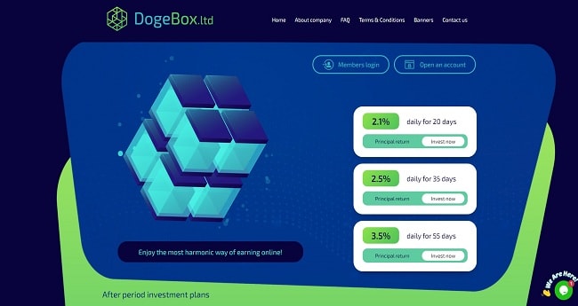 Dogebox.ltd - закрыт 25.11.2020